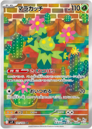 Maractus - 101/100 Korean